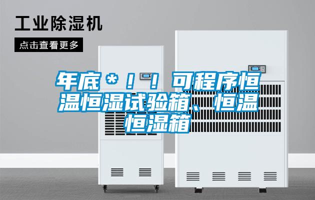 年底＊！！可程序恒溫恒濕試驗(yàn)箱、恒溫恒濕箱