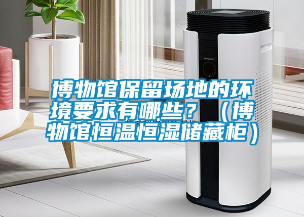 博物館保留場(chǎng)地的環(huán)境要求有哪些？（博物館恒溫恒濕儲(chǔ)藏柜）