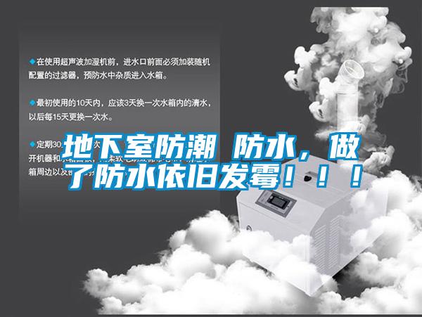 地下室防潮≠防水，做了防水依舊發(fā)霉?。?！