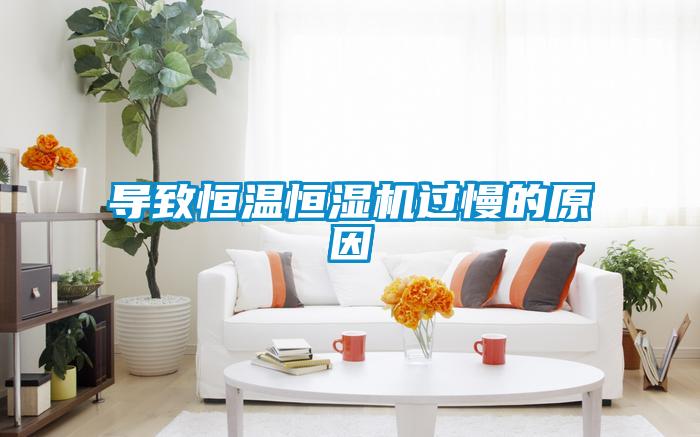 導致恒溫恒濕機過慢的原因
