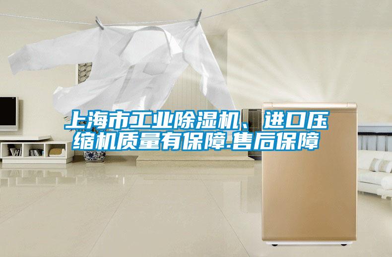 上海市工業(yè)除濕機(jī)、進(jìn)口壓縮機(jī)質(zhì)量有保障.售后保障