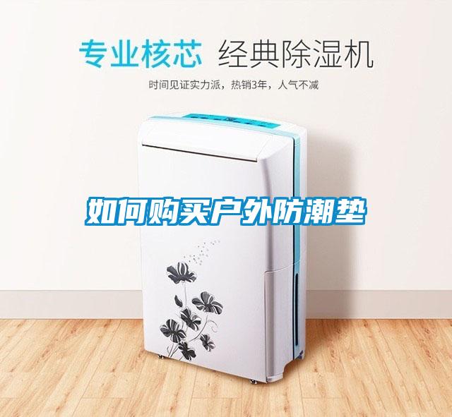 如何購(gòu)買(mǎi)戶外防潮墊