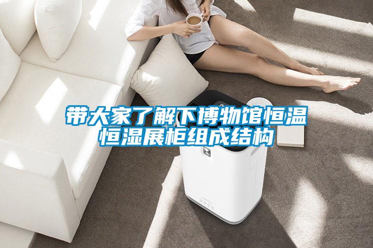 帶大家了解下博物館恒溫恒濕展柜組成結構