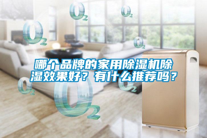 哪個(gè)品牌的家用除濕機(jī)除濕效果好？有什么推薦嗎？