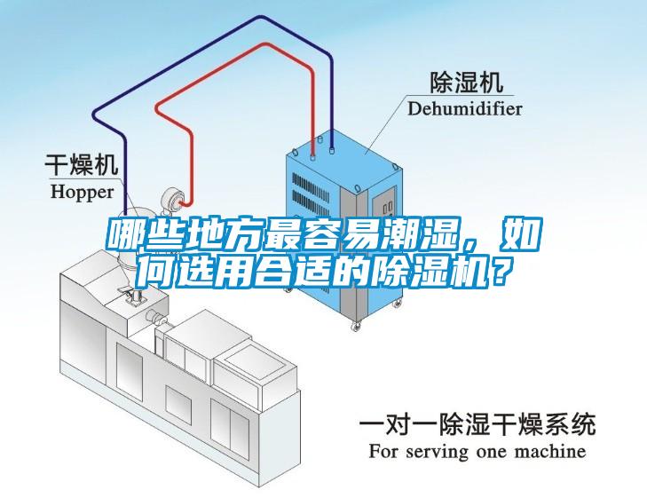 哪些地方最容易潮濕，如何選用合適的除濕機(jī)？