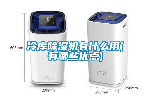 冷庫(kù)除濕機(jī)有什么用(有哪些優(yōu)點(diǎn))