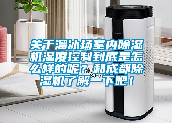 關(guān)于溜冰場室內(nèi)除濕機(jī)濕度控制到底是怎么樣的呢？和成都除濕機(jī)了解一下吧！