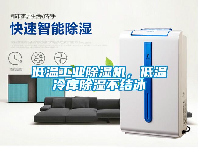 低溫工業(yè)除濕機，低溫冷庫除濕不結(jié)冰