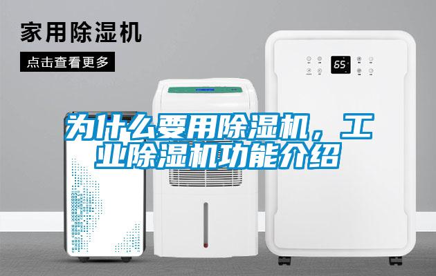 為什么要用除濕機，工業(yè)除濕機功能介紹