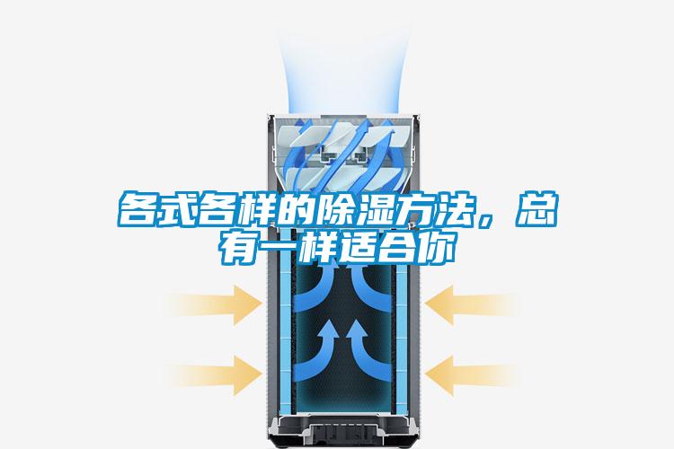 各式各樣的除濕方法，總有一樣適合你