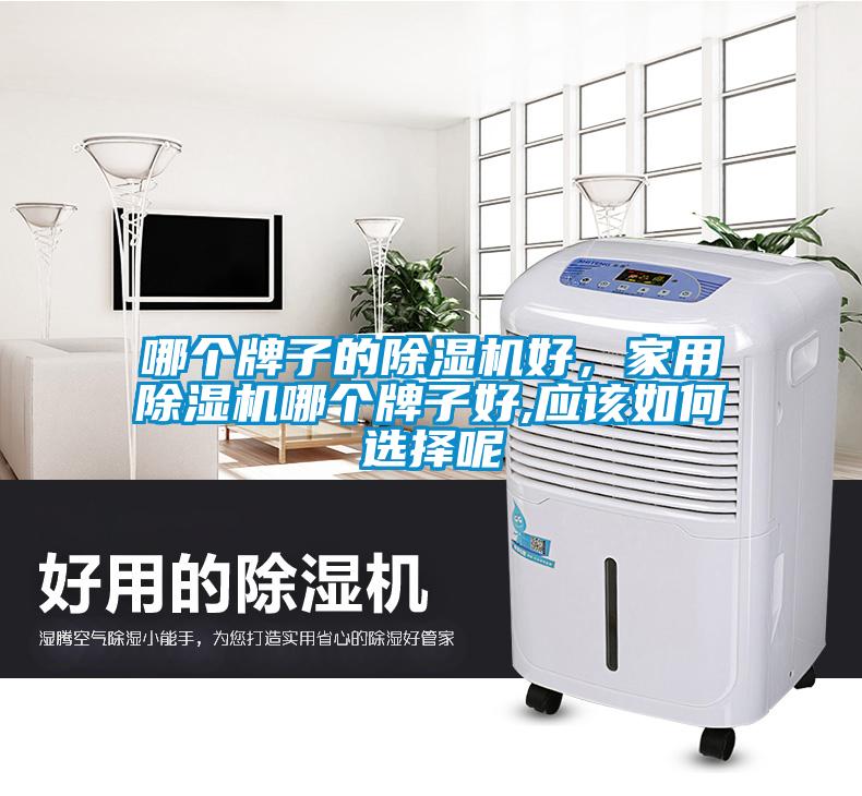 哪個(gè)牌子的除濕機(jī)好，家用除濕機(jī)哪個(gè)牌子好,應(yīng)該如何選擇呢