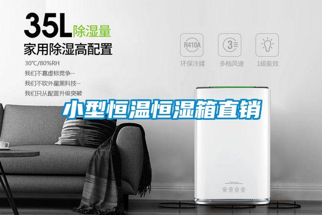 小型恒溫恒濕箱直銷(xiāo)