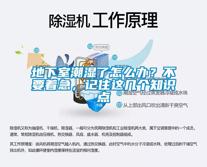 地下室潮濕了怎么辦？不要著急，記住這幾個知識點