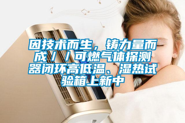 因技術(shù)而生，鑄力量而成／／可燃?xì)怏w探測器閉環(huán)高低溫、濕熱試驗(yàn)箱上新中