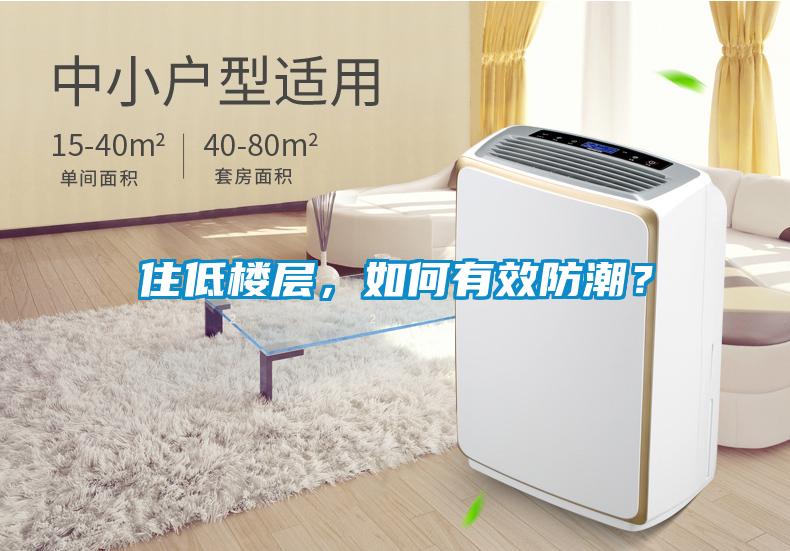 住低樓層，如何有效防潮？