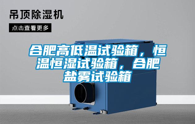 合肥高低溫試驗(yàn)箱，恒溫恒濕試驗(yàn)箱，合肥鹽霧試驗(yàn)箱