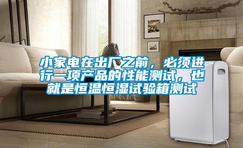 小家電在出廠之前，必須進行一項產品的性能測試，也就是恒溫恒濕試驗箱測試