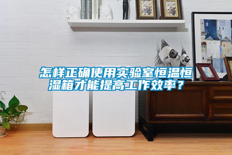 怎樣正確使用實驗室恒溫恒濕箱才能提高工作效率？