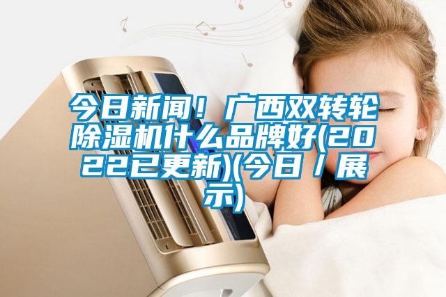 今日新聞！廣西雙轉(zhuǎn)輪除濕機(jī)什么品牌好(2022已更新)(今日／展示)