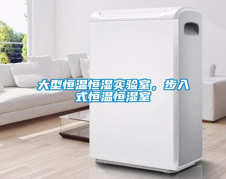 大型恒溫恒濕實(shí)驗(yàn)室，步入式恒溫恒濕室