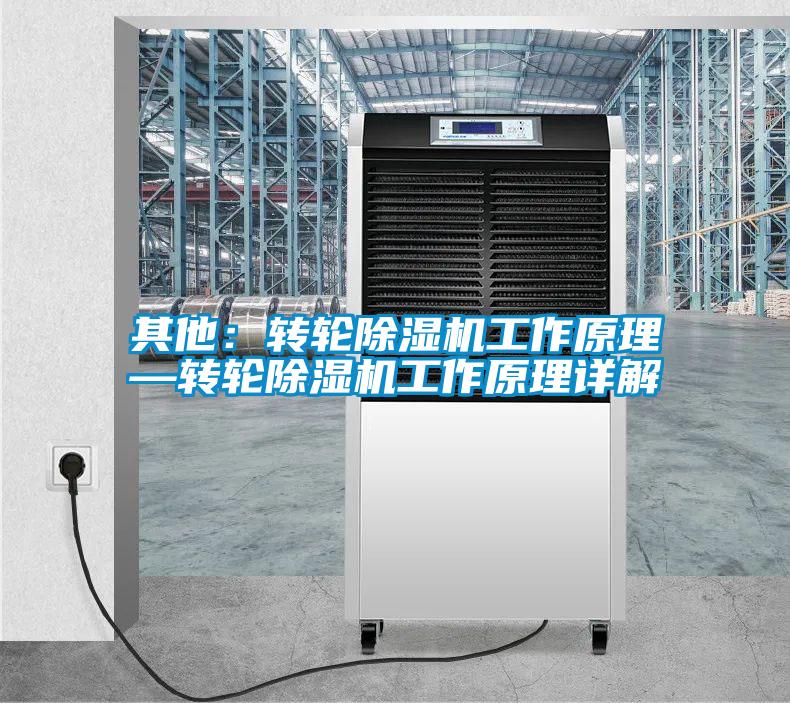 其他：轉(zhuǎn)輪除濕機工作原理—轉(zhuǎn)輪除濕機工作原理詳解