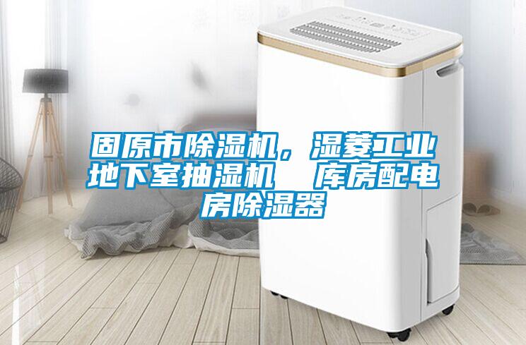 固原市除濕機(jī)，濕菱工業(yè)地下室抽濕機(jī)  庫房配電房除濕器
