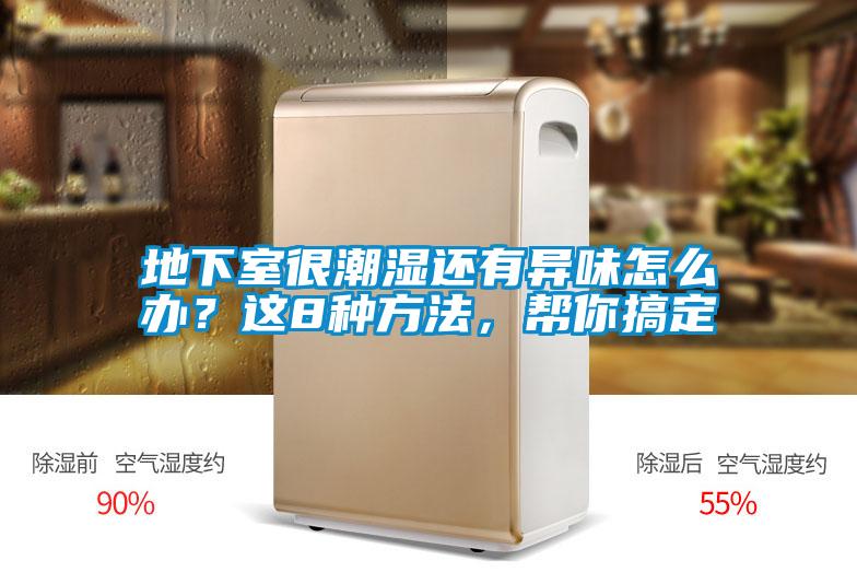 地下室很潮濕還有異味怎么辦？這8種方法，幫你搞定