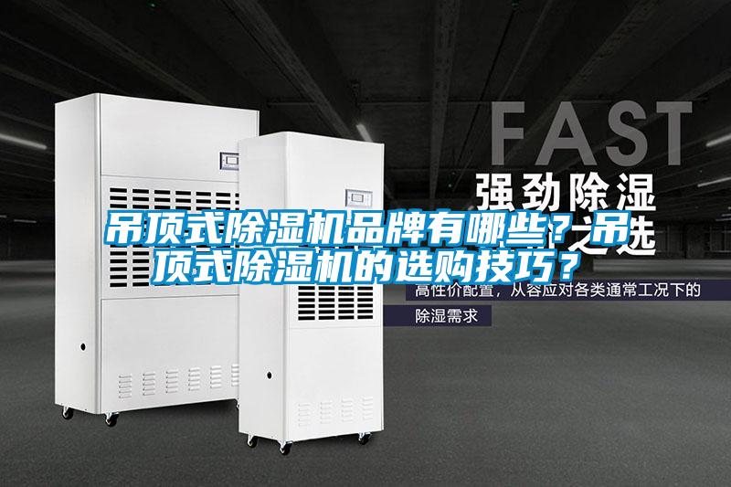 吊頂式除濕機品牌有哪些？吊頂式除濕機的選購技巧？