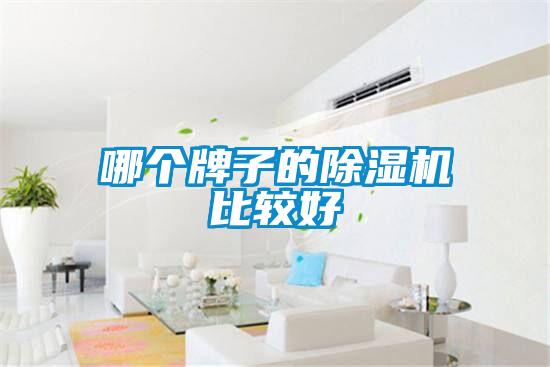 哪個(gè)牌子的除濕機(jī)比較好