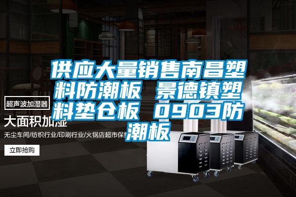 供應大量銷售南昌塑料防潮板 景德鎮(zhèn)塑料墊倉板 0903防潮板