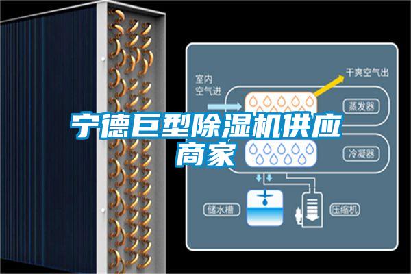 寧德巨型除濕機供應(yīng)商家