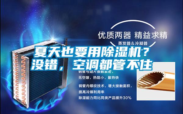 夏天也要用除濕機？沒錯，空調都管不住