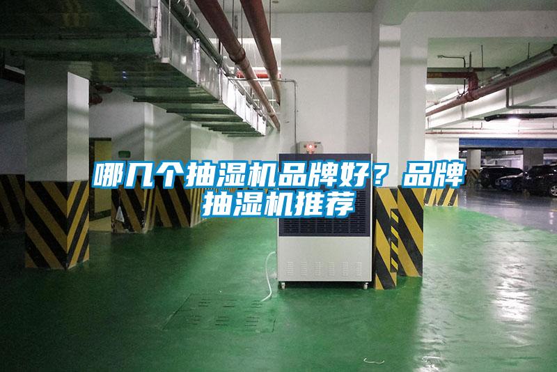 哪幾個抽濕機(jī)品牌好？品牌抽濕機(jī)推薦