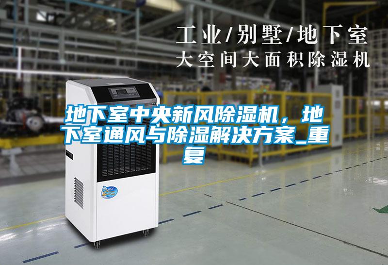 地下室中央新風(fēng)除濕機(jī)，地下室通風(fēng)與除濕解決方案_重復(fù)