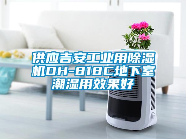 供應吉安工業(yè)用除濕機DH-818C地下室潮濕用效果好