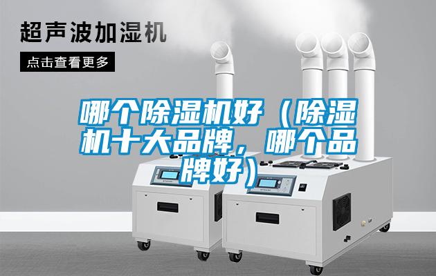哪個除濕機(jī)好（除濕機(jī)十大品牌，哪個品牌好）