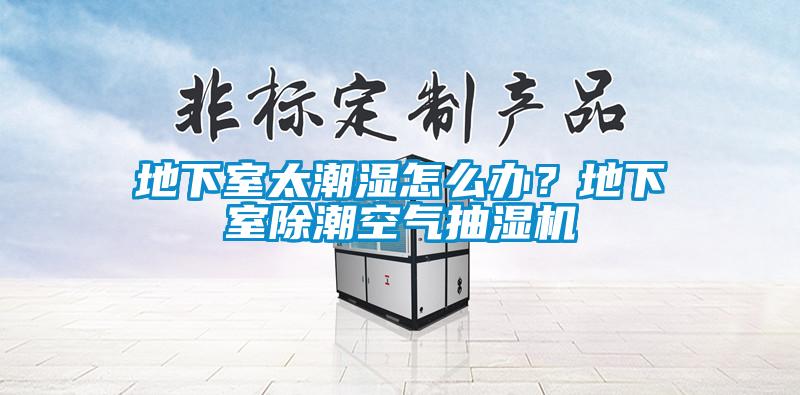 地下室太潮濕怎么辦？地下室除潮空氣抽濕機
