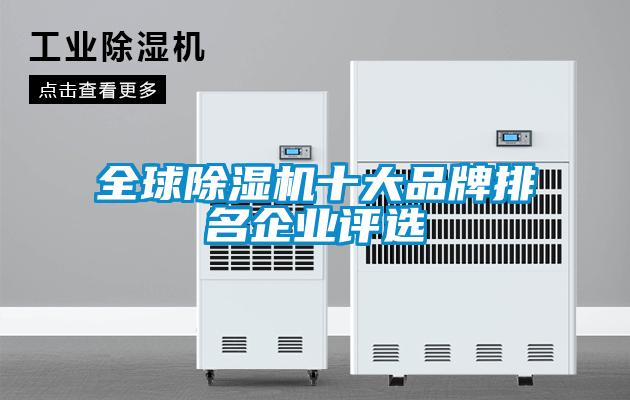 全球除濕機十大品牌排名企業(yè)評選