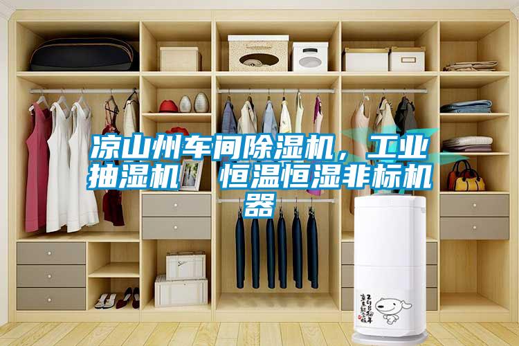 涼山州車間除濕機，工業(yè)抽濕機  恒溫恒濕非標機器