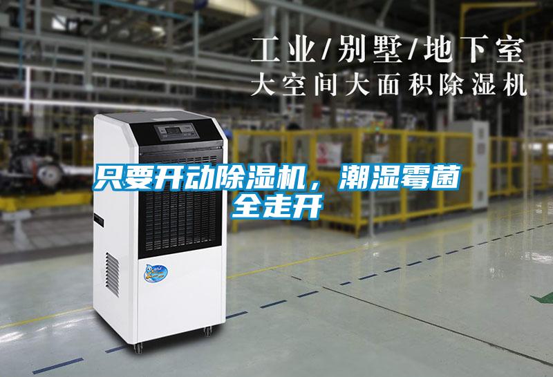 只要開動除濕機，潮濕霉菌全走開