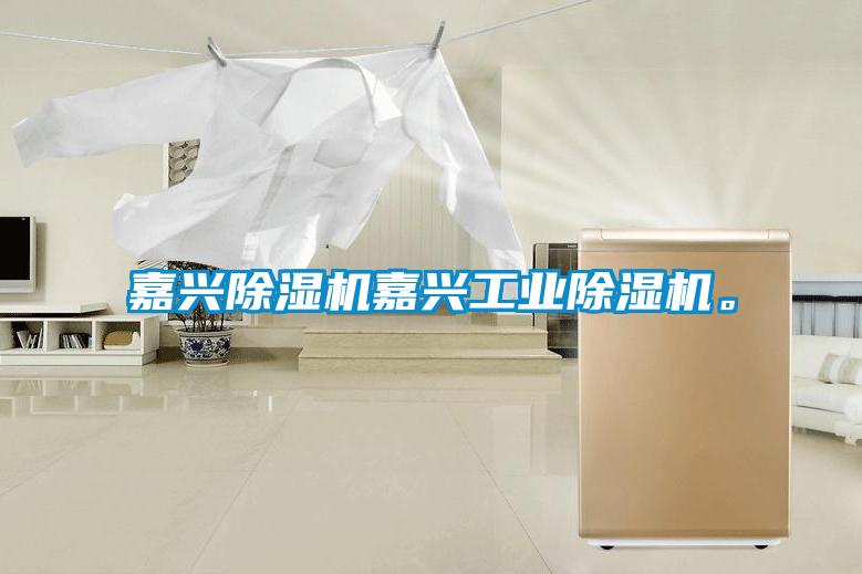 嘉興除濕機嘉興工業(yè)除濕機。