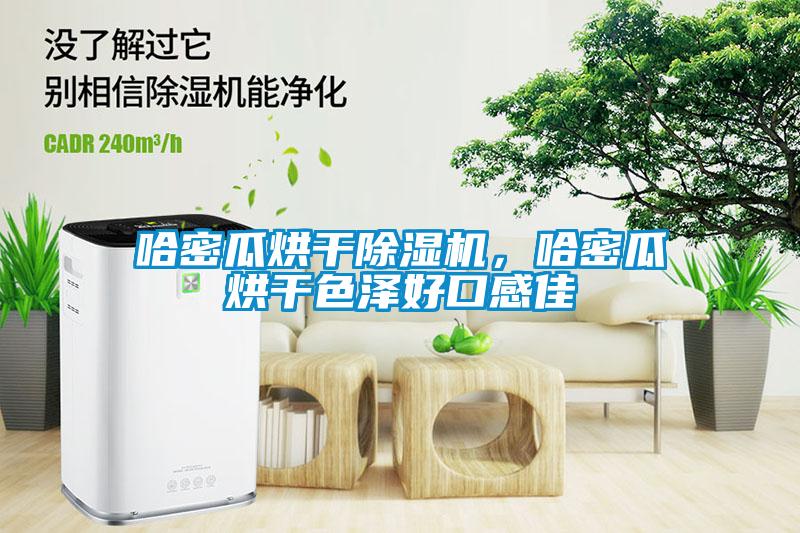 哈密瓜烘干除濕機，哈密瓜烘干色澤好口感佳