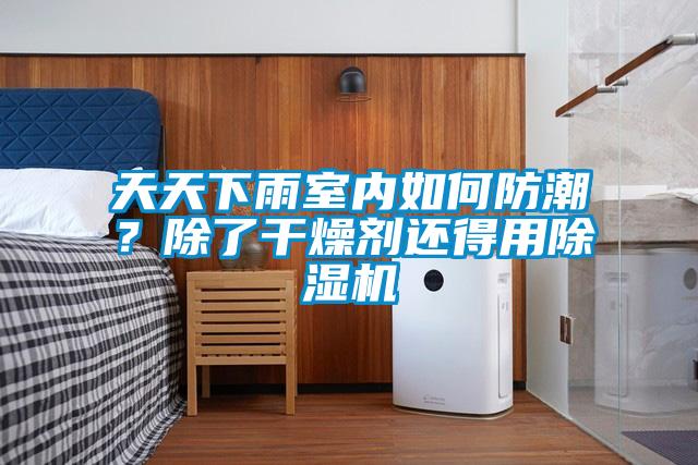 天天下雨室內(nèi)如何防潮？除了干燥劑還得用除濕機(jī)