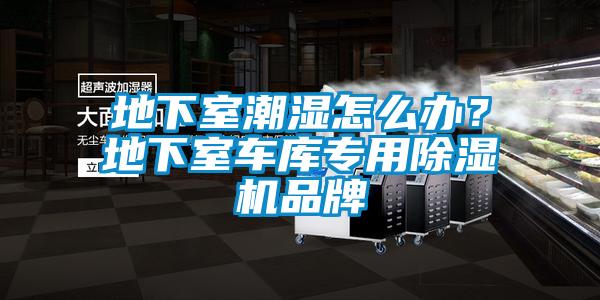 地下室潮濕怎么辦？地下室車庫專用除濕機(jī)品牌