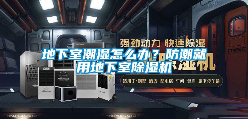 地下室潮濕怎么辦？防潮就用地下室除濕機(jī)