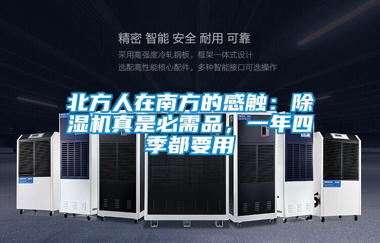 北方人在南方的感觸：除濕機真是必需品，一年四季都要用