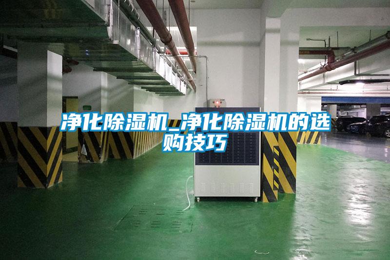 凈化除濕機(jī)_凈化除濕機(jī)的選購(gòu)技巧