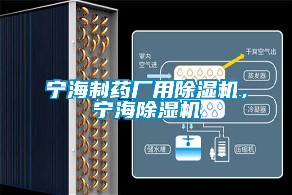 寧海制藥廠用除濕機(jī)，寧海除濕機(jī)