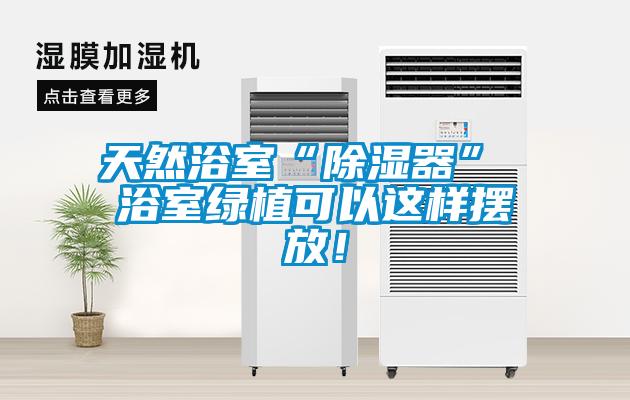 天然浴室“除濕器” 浴室綠植可以這樣擺放！