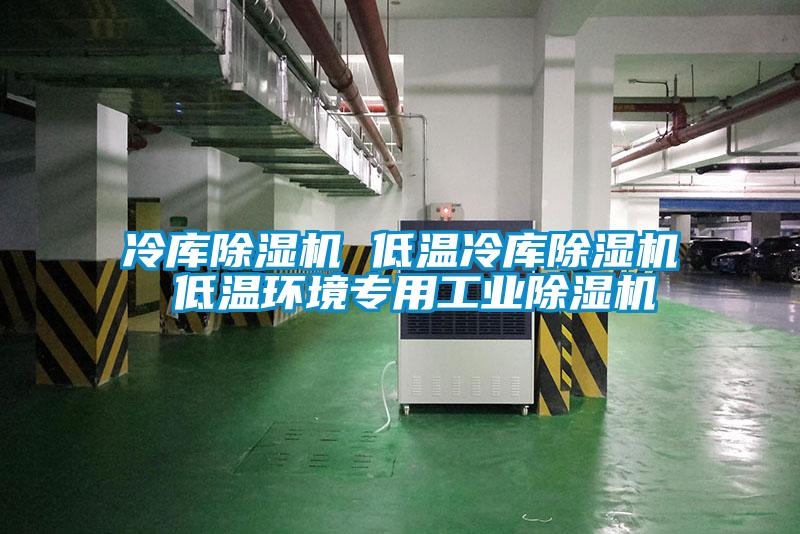 冷庫除濕機(jī) 低溫冷庫除濕機(jī) 低溫環(huán)境專用工業(yè)除濕機(jī)